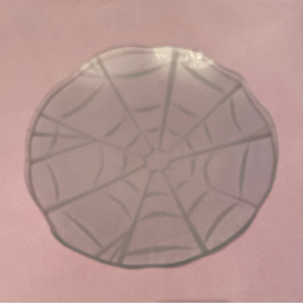 Plate with Spider Web Design